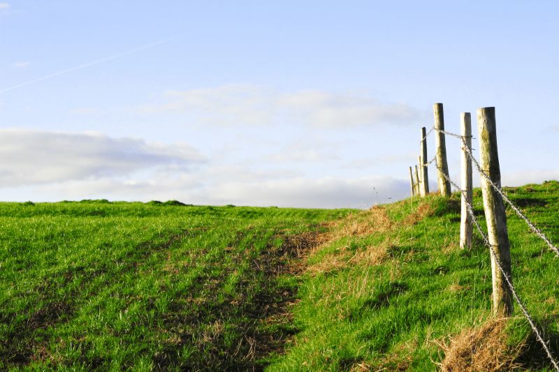 Silt Fence Installation Costs — Cost of Silt Fence Installation