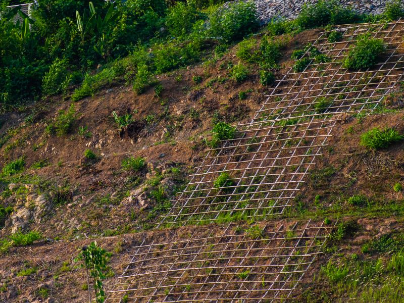 Specialized Erosion Control Firms